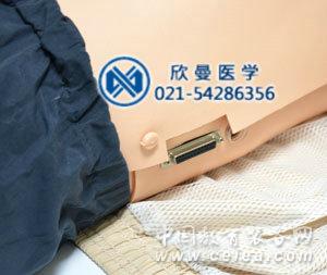 急救模擬人左側(cè)數(shù)據(jù)接口