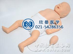 嬰兒心肺復(fù)蘇模擬人整體結(jié)構(gòu)