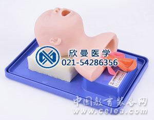 新生兒插管模型整體結(jié)構(gòu)