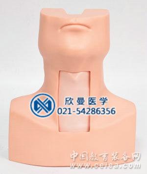 環(huán)甲膜穿刺模型整體結(jié)構(gòu)