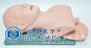 電子人體氣管插管訓(xùn)練模型正面結(jié)構(gòu)