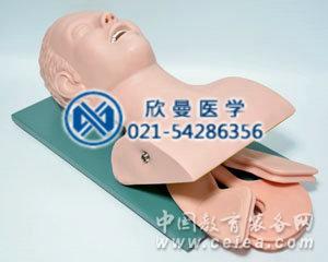 氣管插管訓(xùn)練模型側(cè)面結(jié)構(gòu)