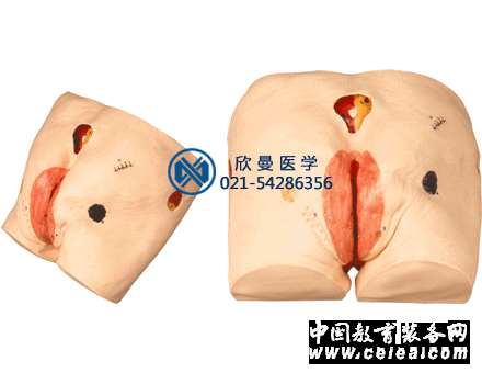 褥瘡護理模型整體結(jié)構(gòu)
